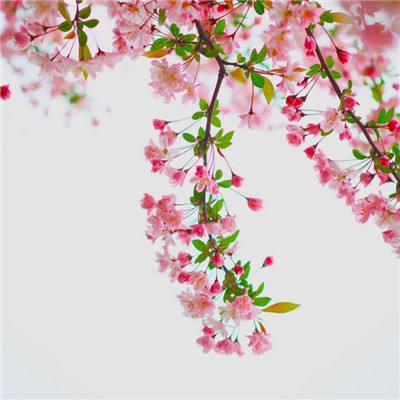 中方回应美称中国进行爆炸性核试验